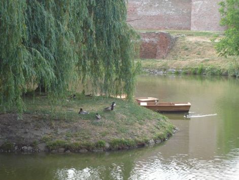 Csendélet a szigeten.