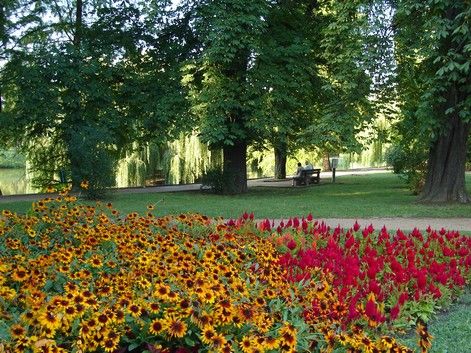 Tó és park. Tó ás park.